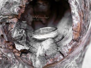 R01 -Ring aus Pferdehaar
